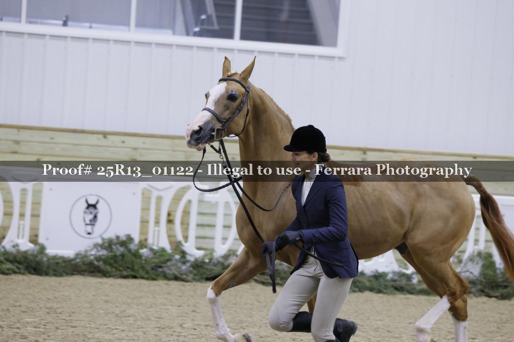 Proof Number 25R13_01122