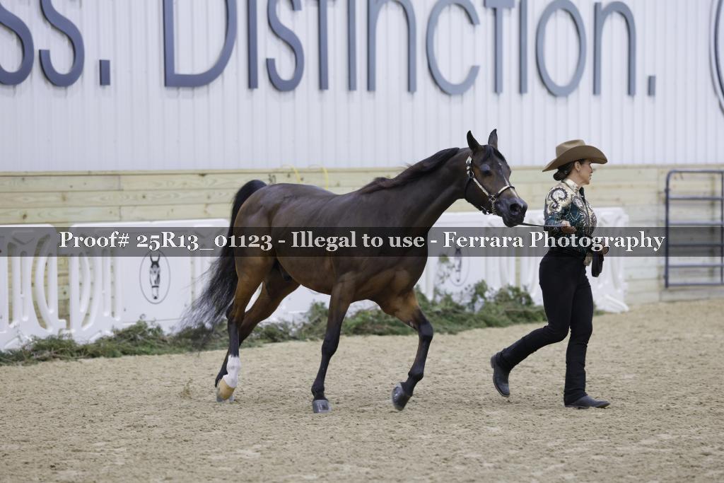 Proof Number 25R13_01123