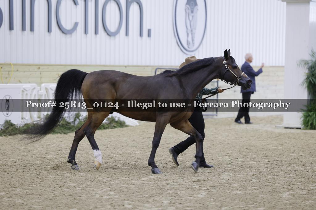 Proof Number 25R13_01124