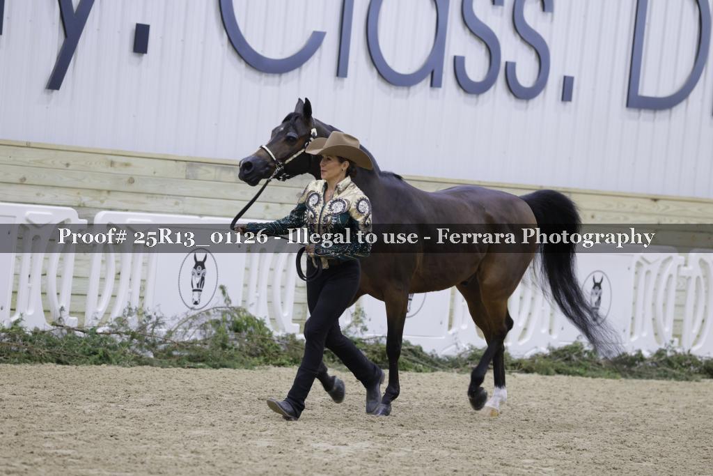 Proof Number 25R13_01126