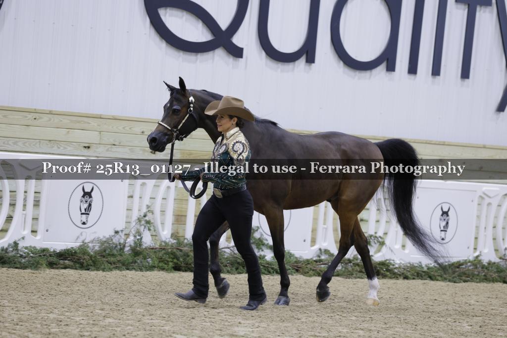 Proof Number 25R13_01127
