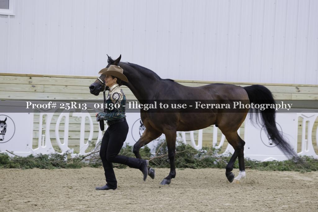 Proof Number 25R13_01130