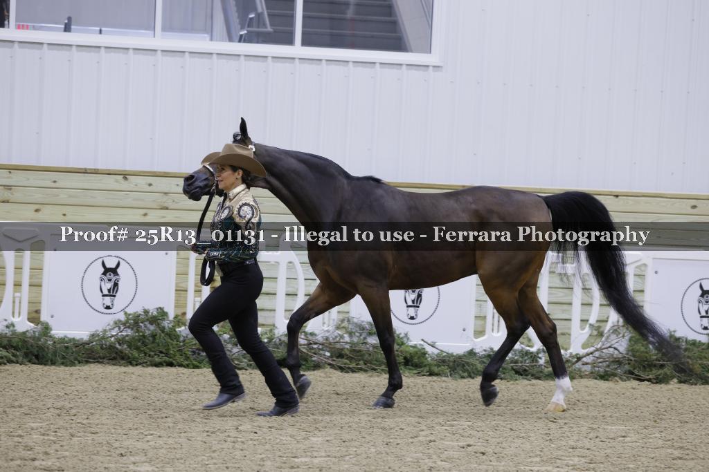 Proof Number 25R13_01131