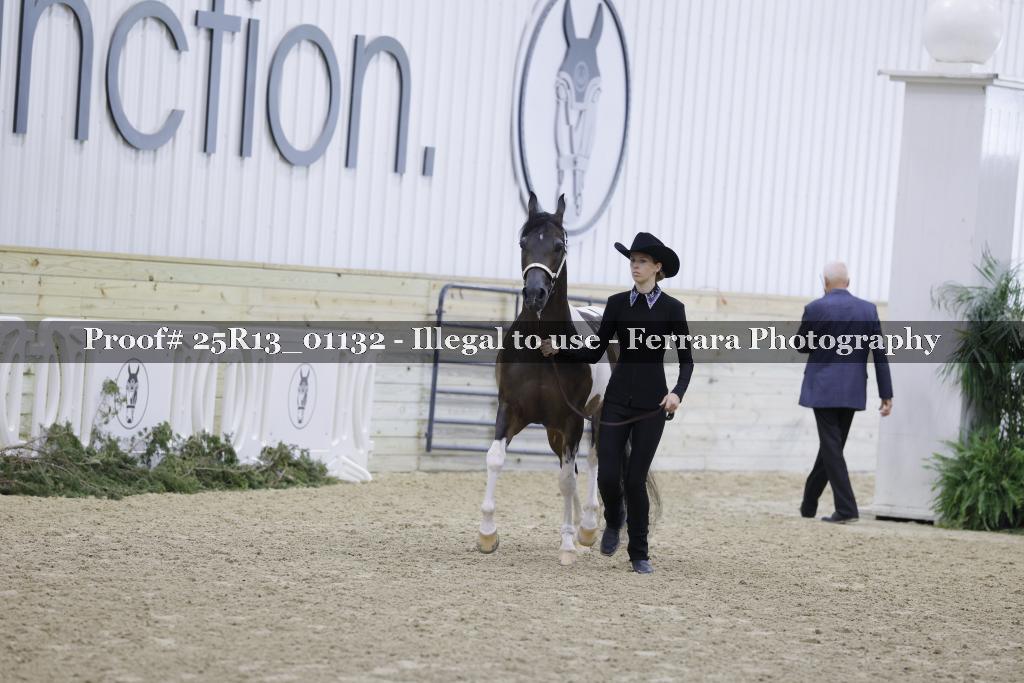 Proof Number 25R13_01132