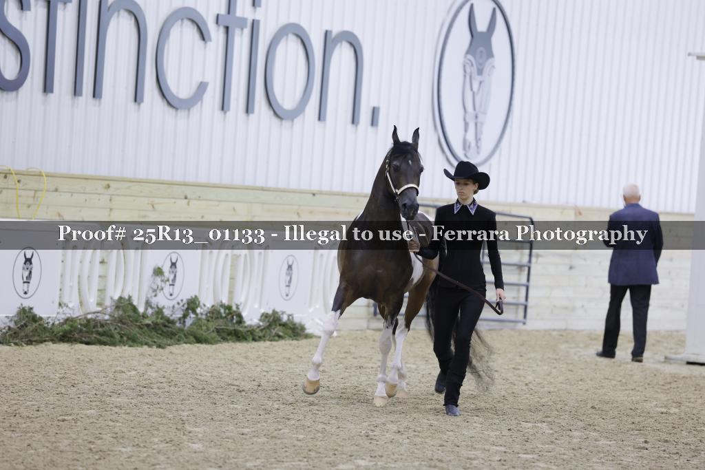 Proof Number 25R13_01133