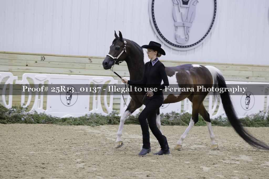Proof Number 25R13_01137