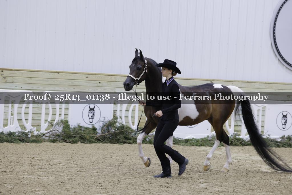 Proof Number 25R13_01138