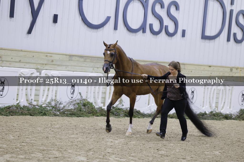 Proof Number 25R13_01140