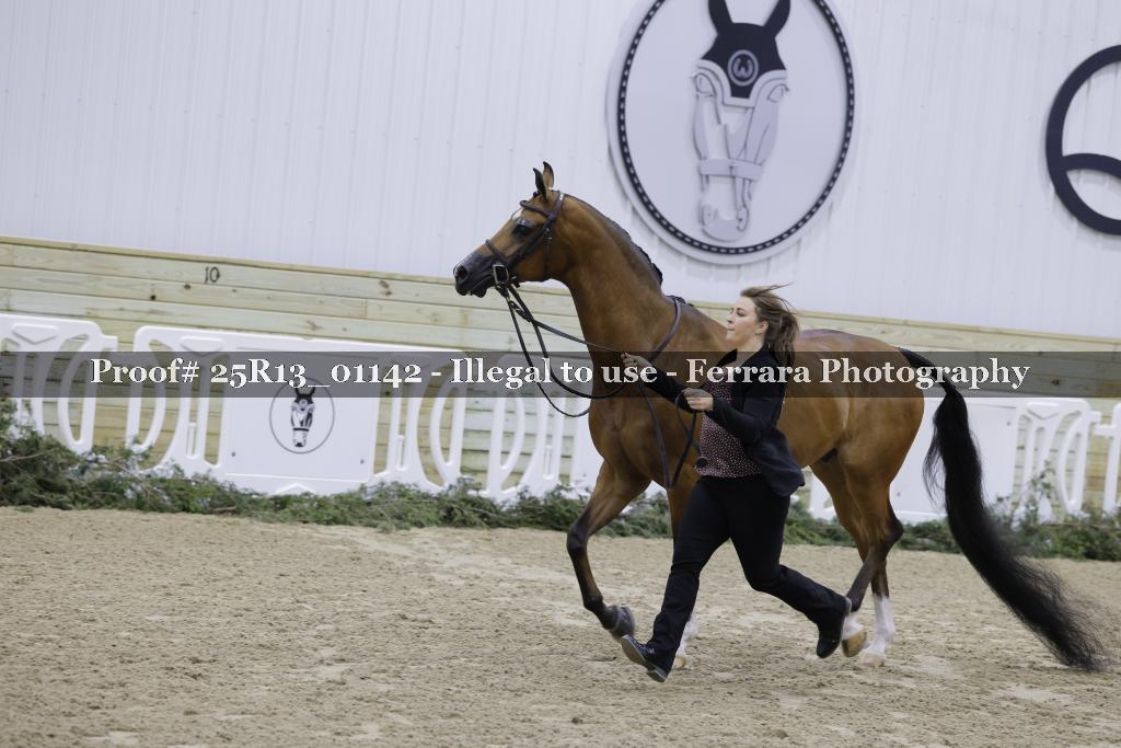 Proof Number 25R13_01142