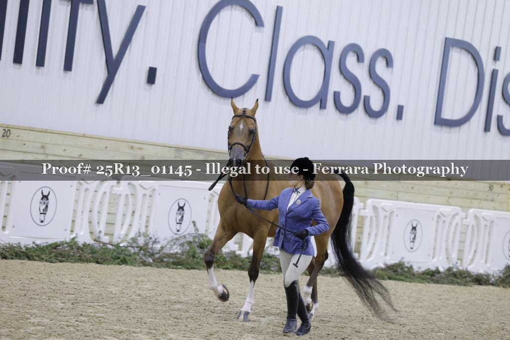Proof Number 25R13_01145