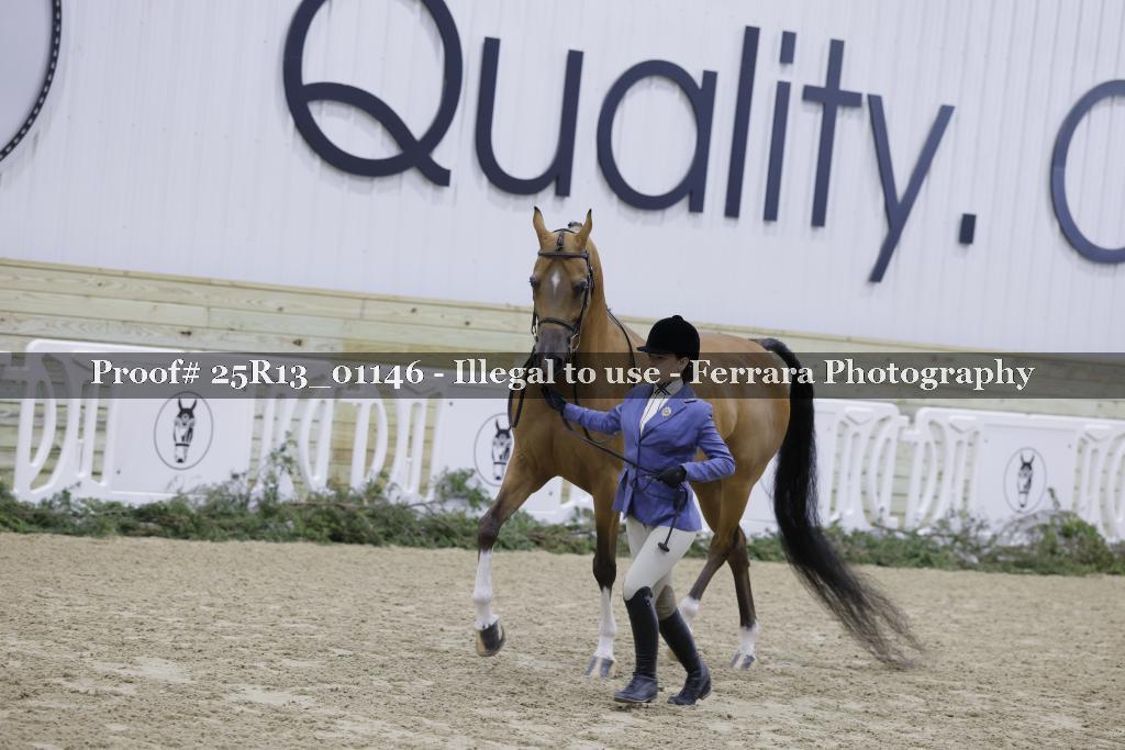 Proof Number 25R13_01146