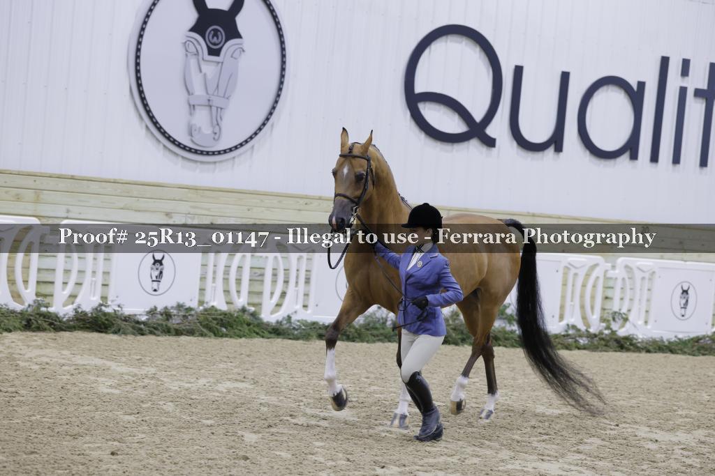 Proof Number 25R13_01147