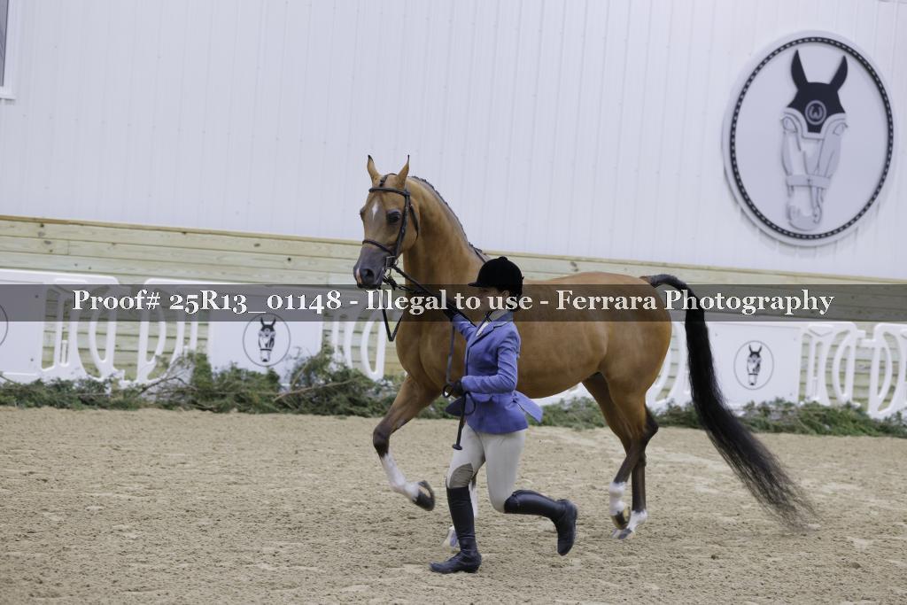 Proof Number 25R13_01148