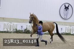 25R13_01148 thumbnail