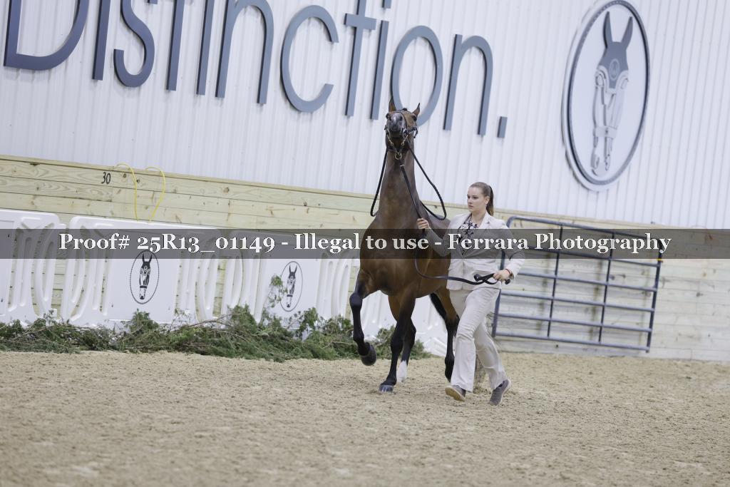 Proof Number 25R13_01149