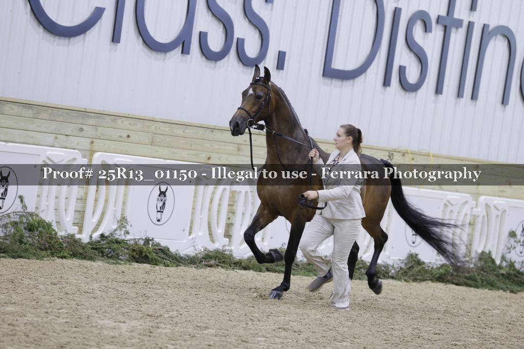 Proof Number 25R13_01150