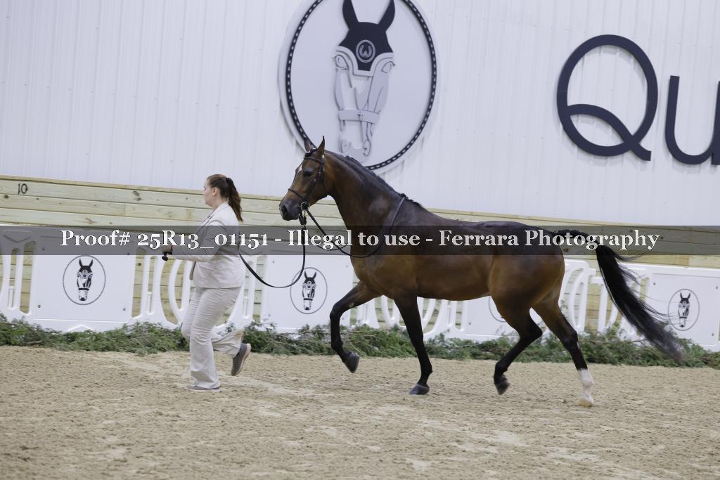 Proof Number 25R13_01151