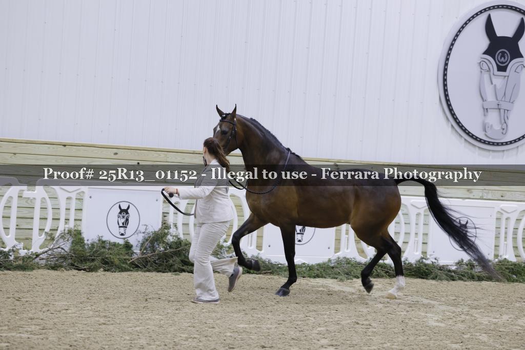 Proof Number 25R13_01152