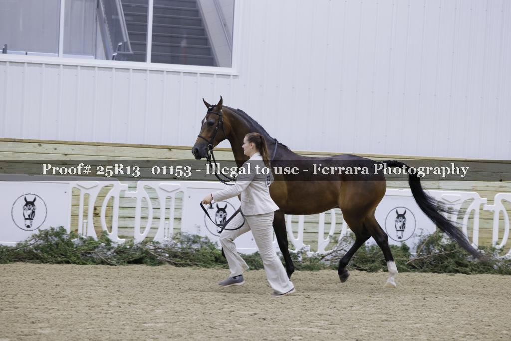 Proof Number 25R13_01153