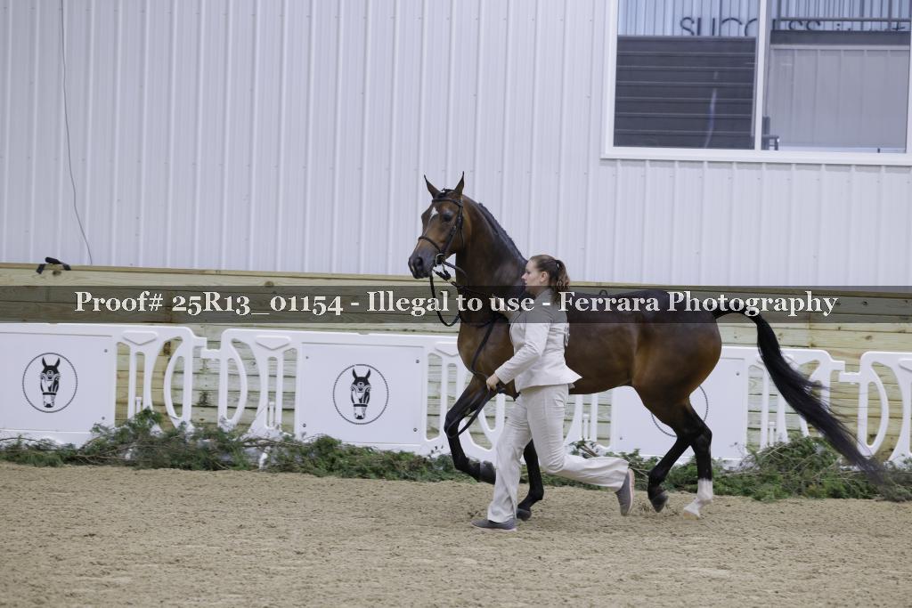 Proof Number 25R13_01154