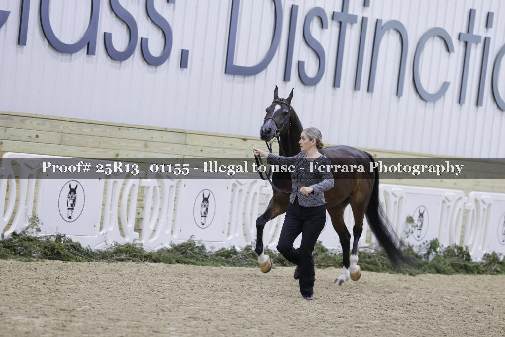 Proof Number 25R13_01155