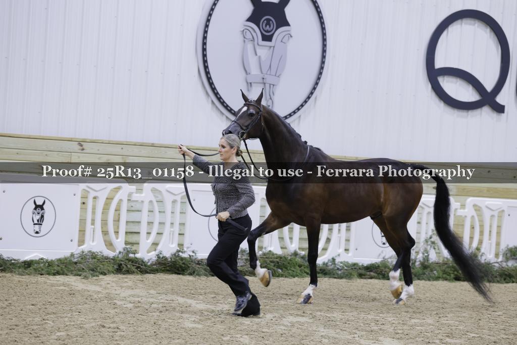 Proof Number 25R13_01158