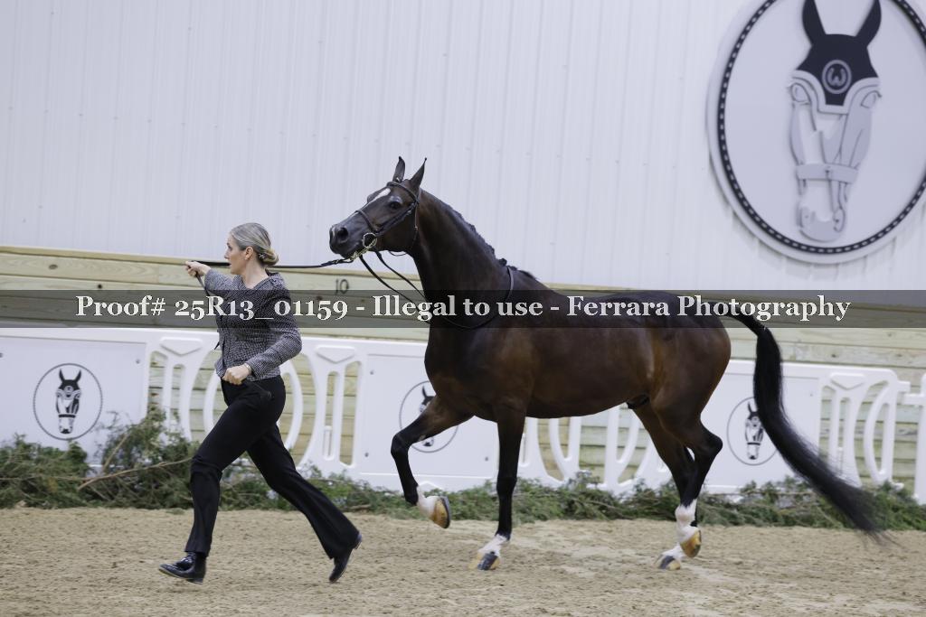 Proof Number 25R13_01159