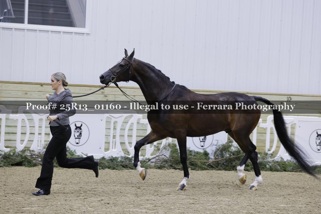 Proof Number 25R13_01160