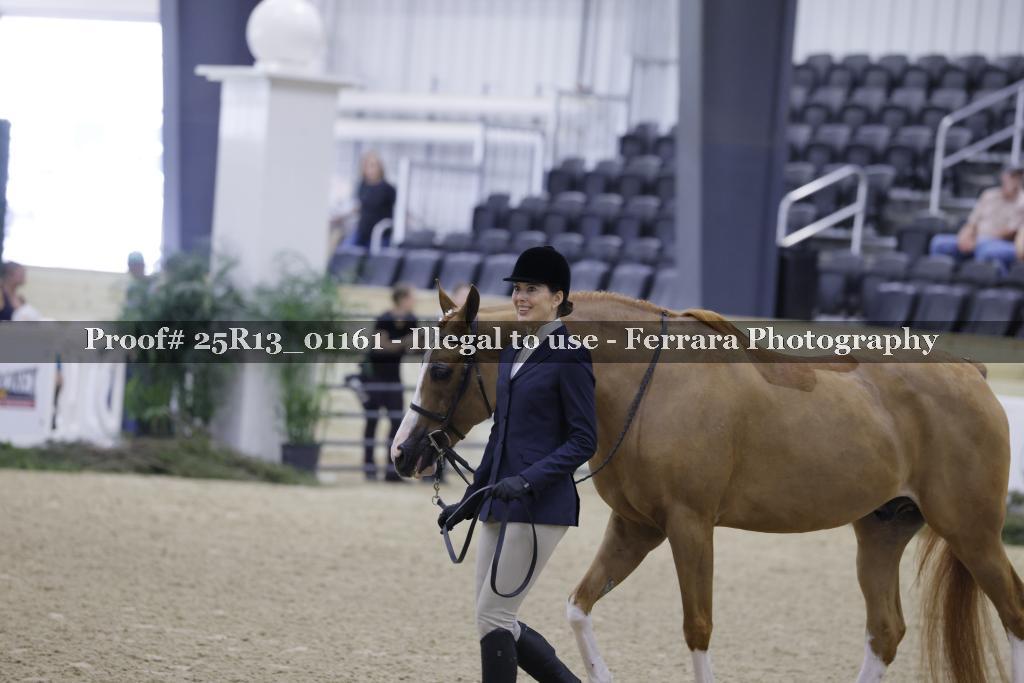 Proof Number 25R13_01161