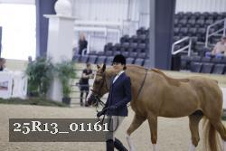 25R13_01161 thumbnail