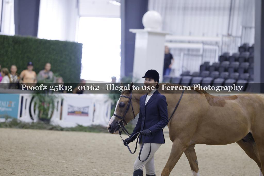 Proof Number 25R13_01162