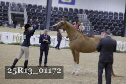 25R13_01172 thumbnail