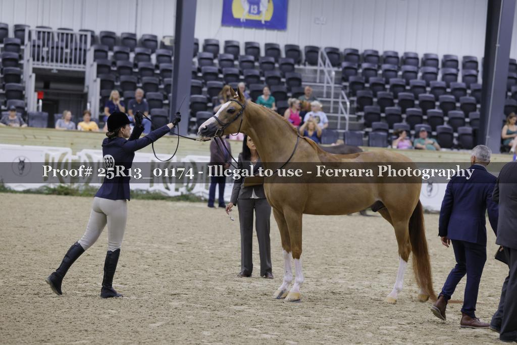 Proof Number 25R13_01174