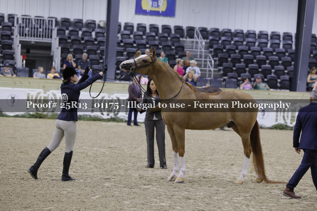 Proof Number 25R13_01175