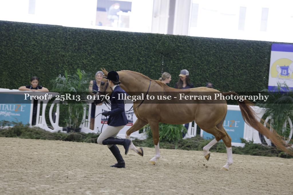 Proof Number 25R13_01176