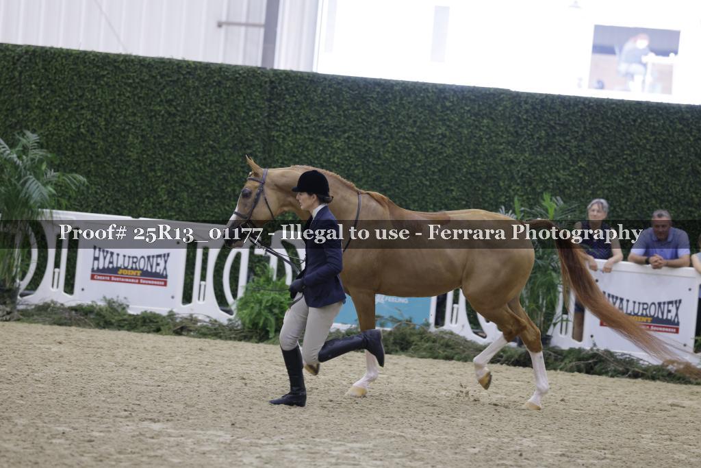 Proof Number 25R13_01177