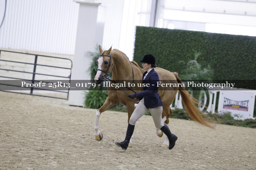 Proof Number 25R13_01179