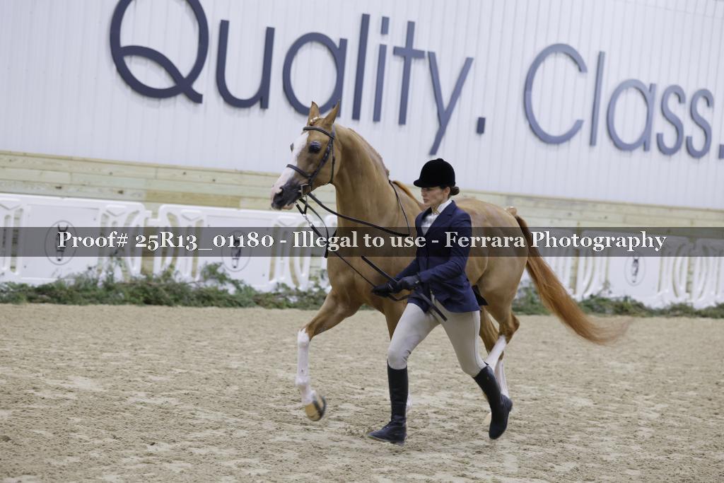 Proof Number 25R13_01180
