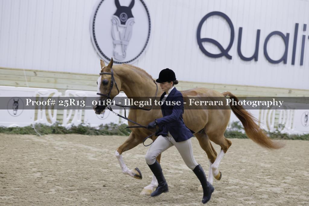 Proof Number 25R13_01181