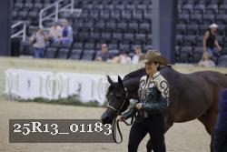 25R13_01183 thumbnail