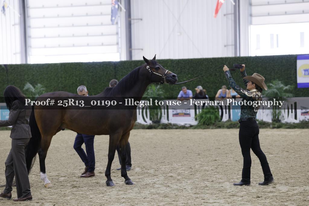 Proof Number 25R13_01190