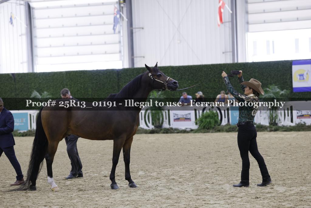 Proof Number 25R13_01191