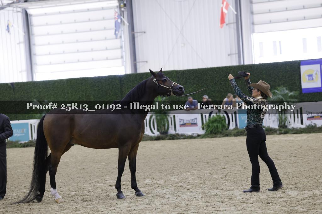 Proof Number 25R13_01192