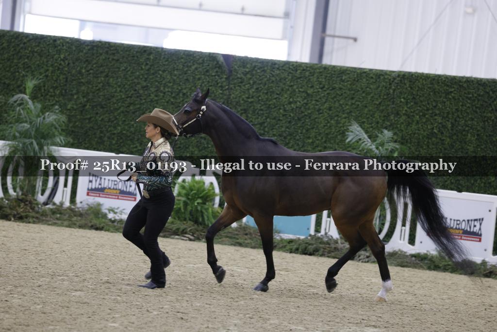 Proof Number 25R13_01193