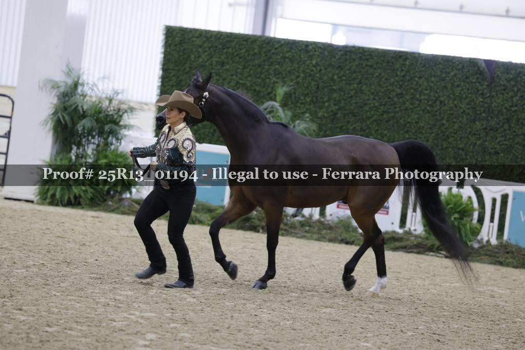Proof Number 25R13_01194