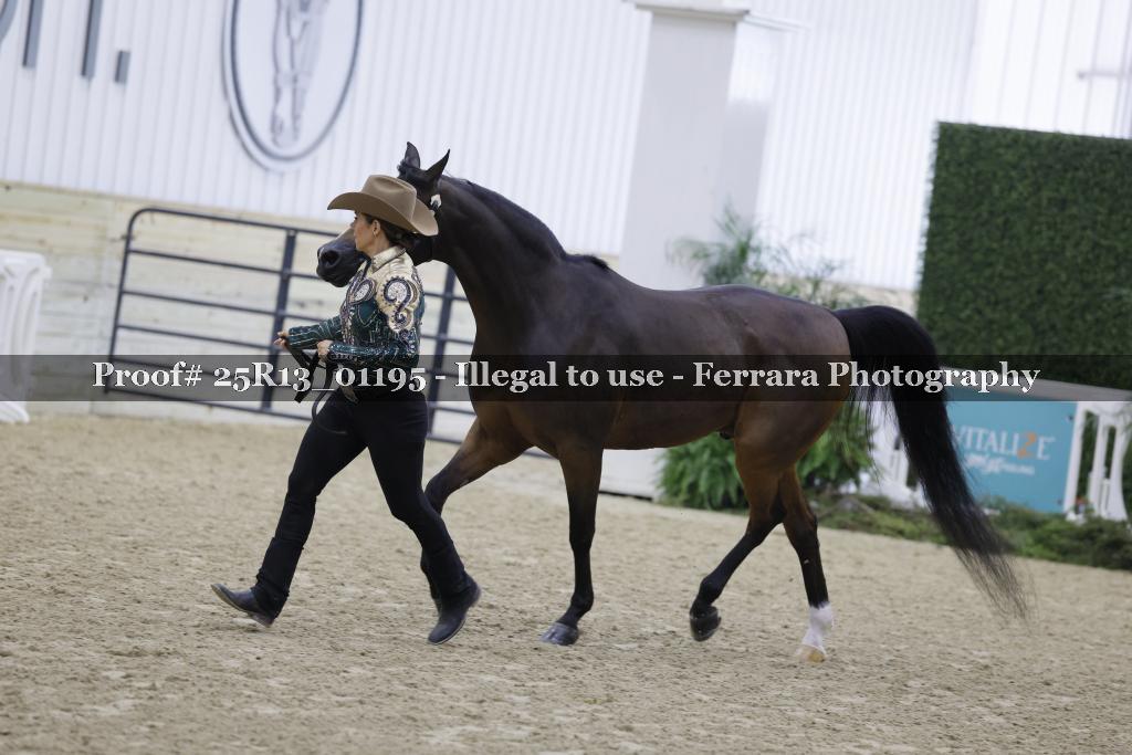 Proof Number 25R13_01195
