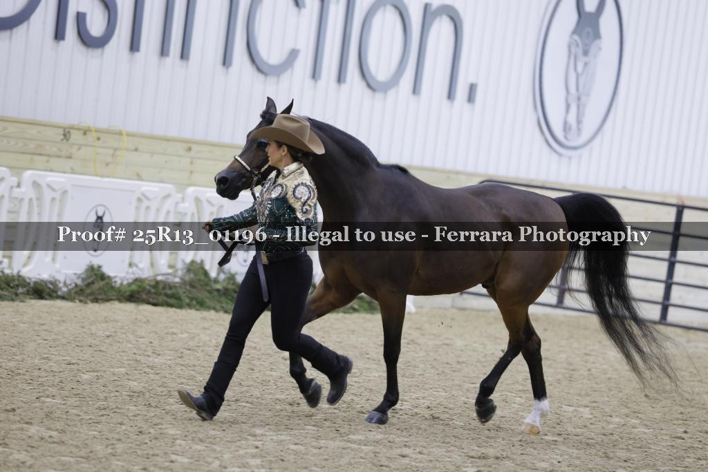 Proof Number 25R13_01196