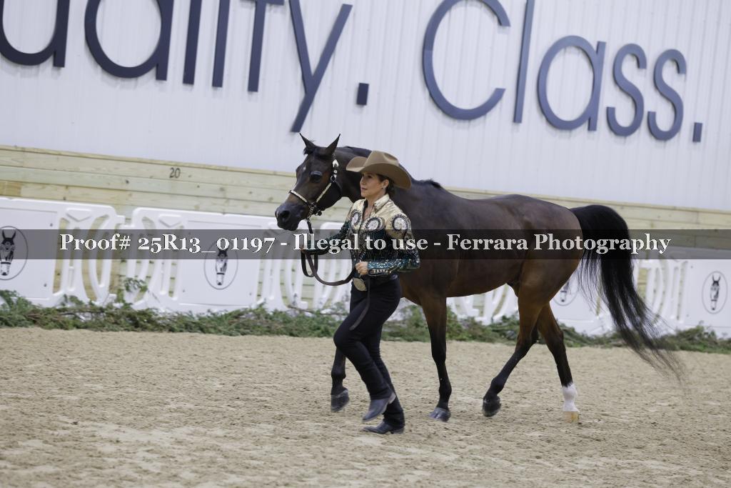 Proof Number 25R13_01197
