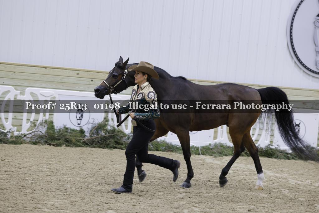 Proof Number 25R13_01198
