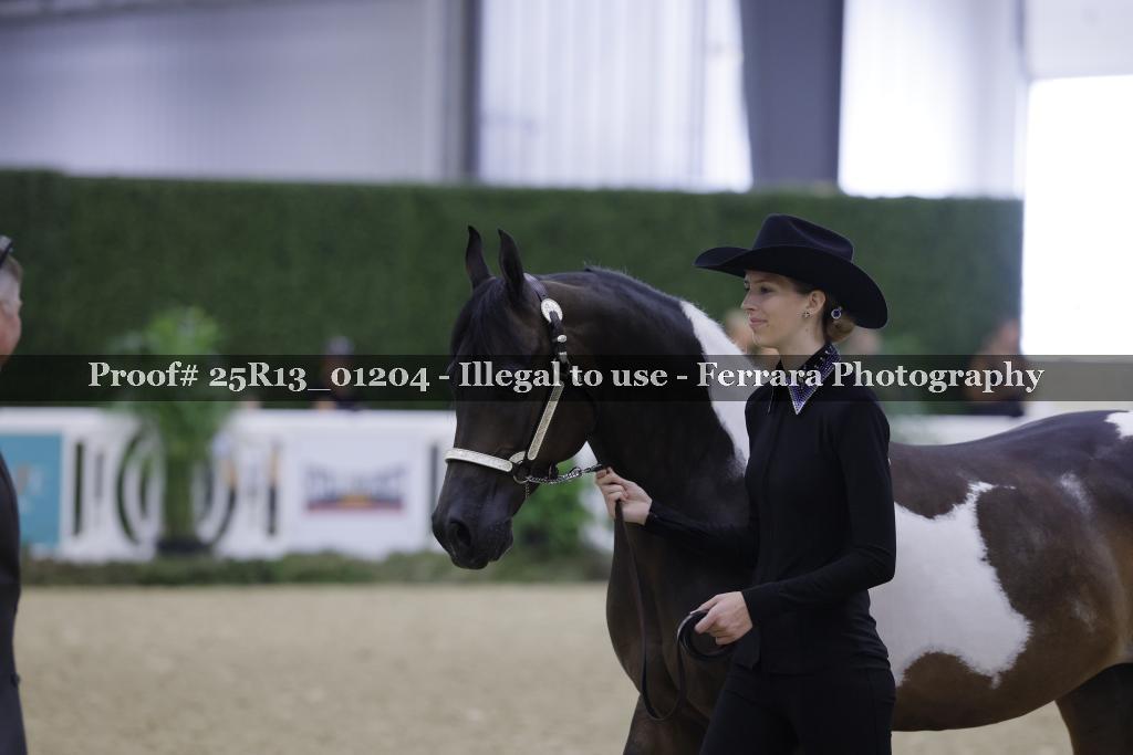 Proof Number 25R13_01204
